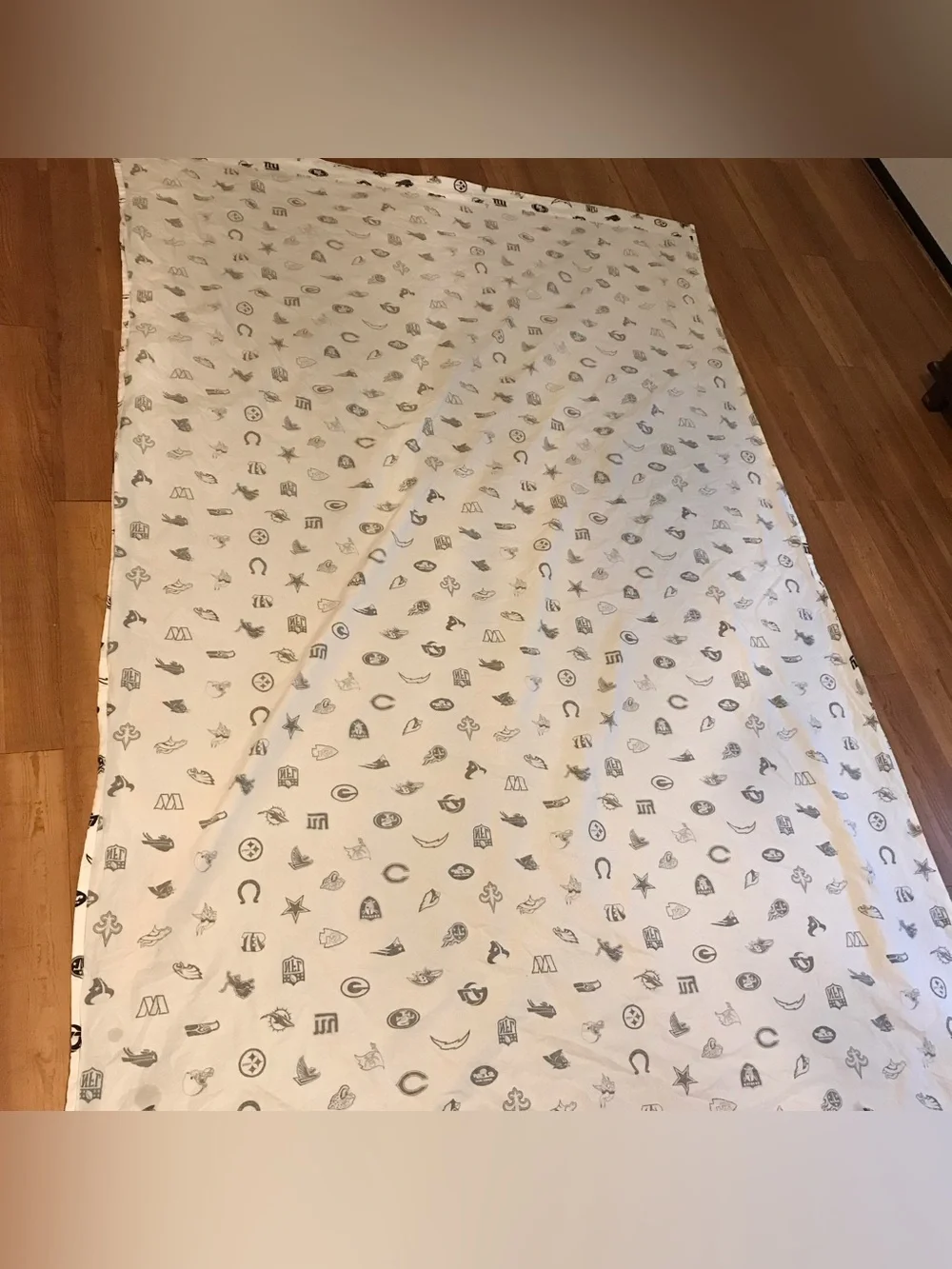 Pottery Barn teen pbteen NFL Team Logo top sheet size Twin XL